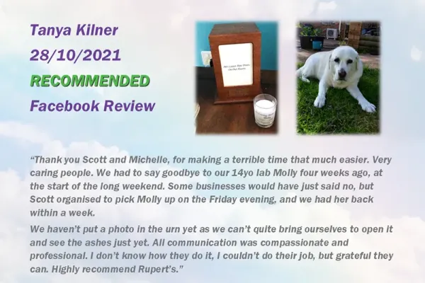 ruperts-pet-crematorium-customer-review-1223D8794BF-8169-DE2B-7BD4-4941B526D0D0.webp