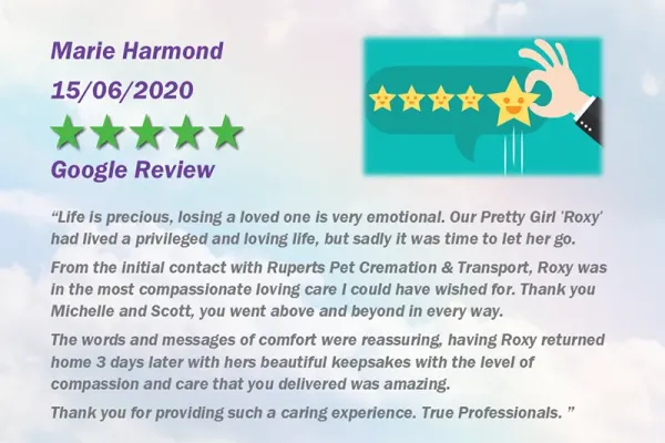 ruperts-pet-crematorium-customer-review-17669E72830-ECA9-9A1C-20AF-02C1F7E3DBF9.webp