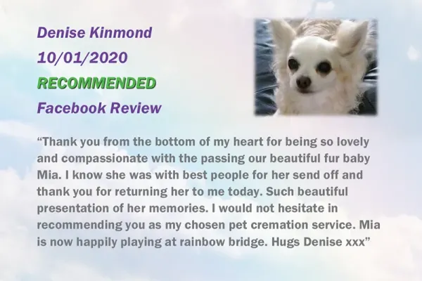 ruperts-pet-crematorium-customer-review-19724C456C5-1754-4BB3-00CE-129E16CC3856.webp