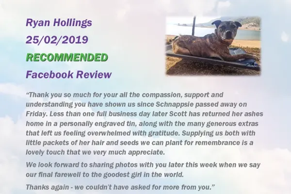 ruperts-pet-crematorium-customer-review-241022BFFCF-CD8C-576E-CFD2-9F1621EB5DFC.webp