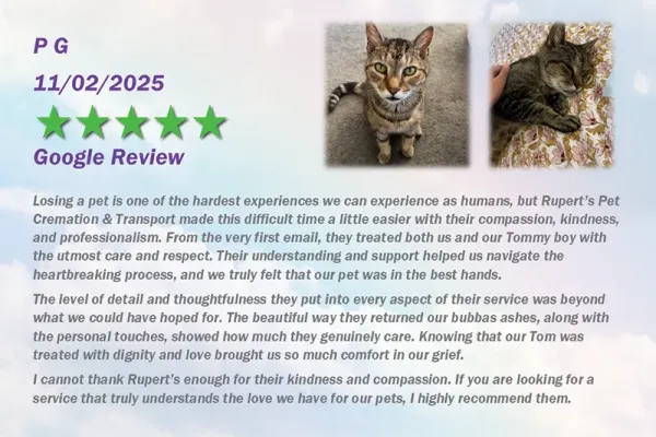 ruperts-pet-crematorium-customer-review-29BA96F918-6904-B687-C137-55691A94D33F.webp