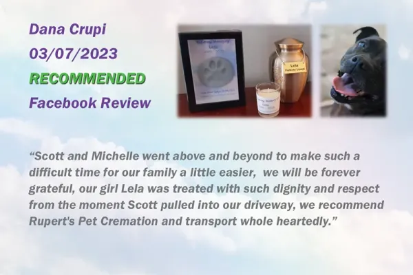 ruperts-pet-crematorium-customer-review-67F99FF40E-C512-1D21-E744-A7D344F10CEC.webp