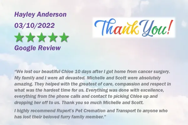 ruperts-pet-crematorium-customer-review-89815216E9-FFF1-B691-E3BD-BC2E57E41E5D.webp