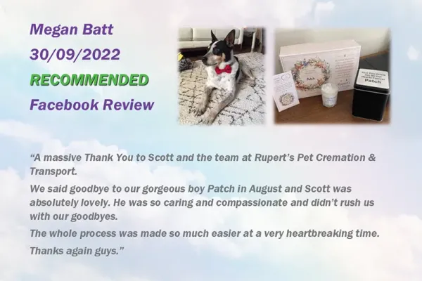 ruperts-pet-crematorium-customer-review-906F2275DE-1618-2700-2164-3D3670CD85F2.webp